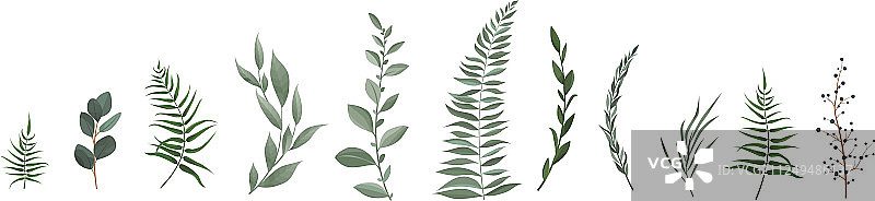 绿色植物设计师元素合集图片素材