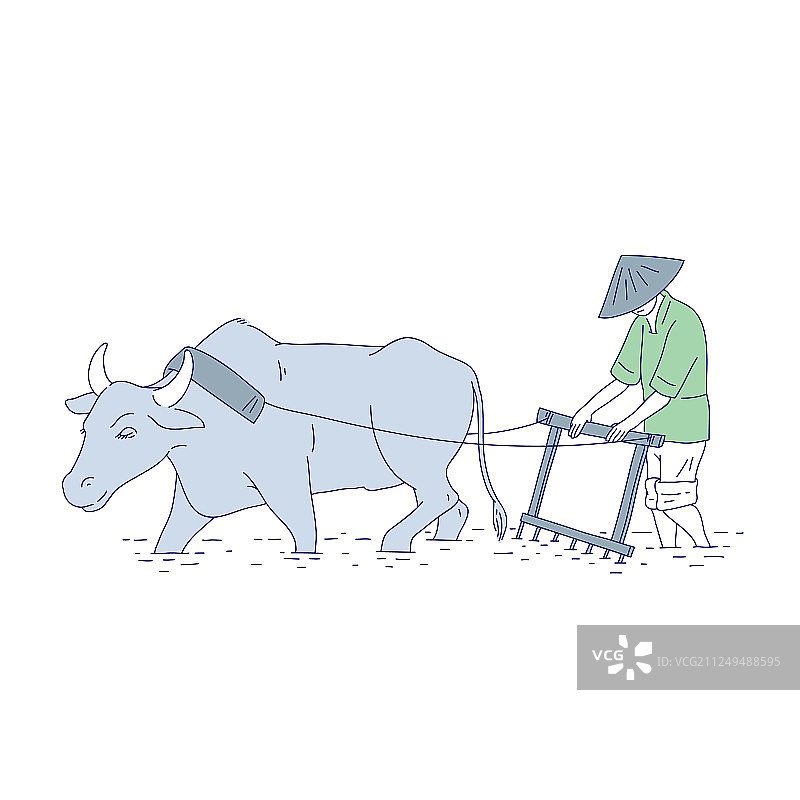 中国农民用牛在传统耕作图片素材