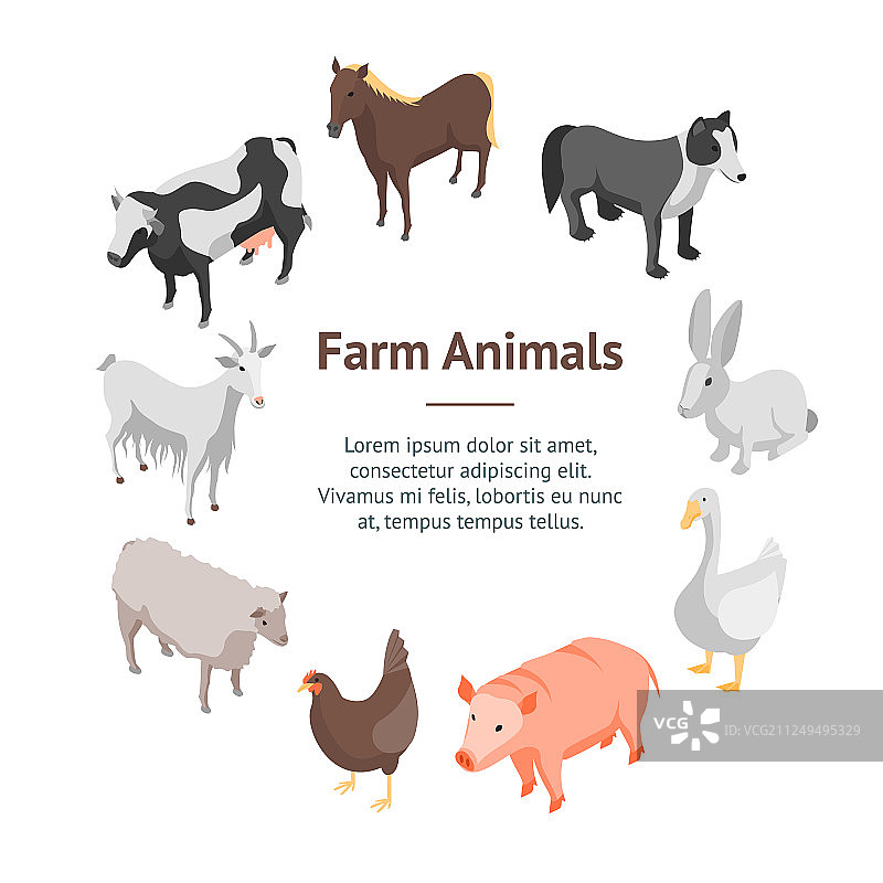 农场动物3D横幅卡片圆形2.5D视图图片素材
