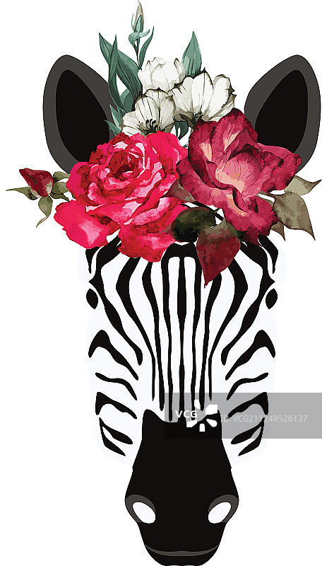 精美斑马图片素材