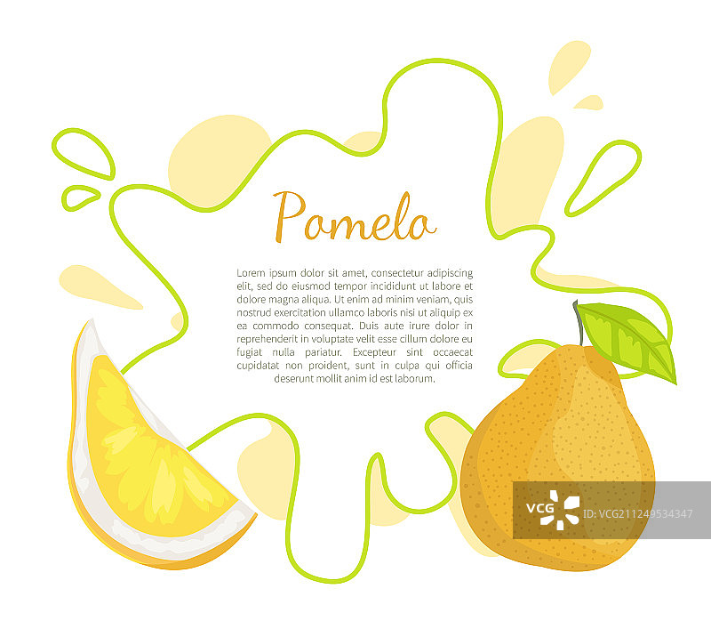 异国情调的热带柚子美食海报图片素材