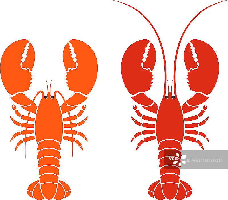龙虾图片素材