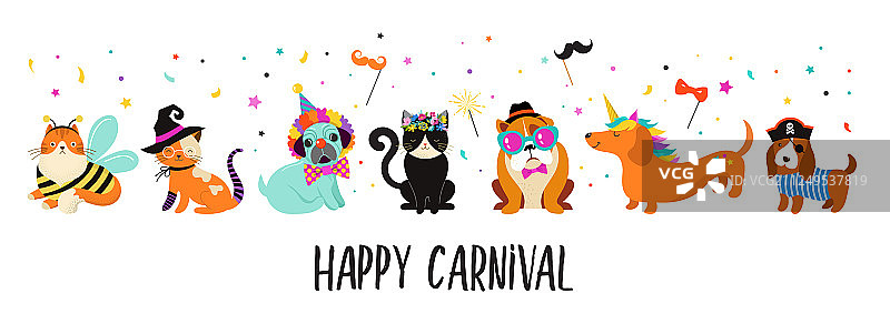 有趣的宠物：可爱的猫和狗图片素材