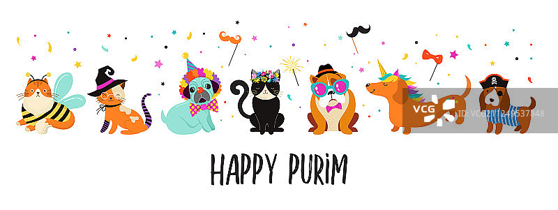 有趣的宠物：可爱的猫和狗图片素材