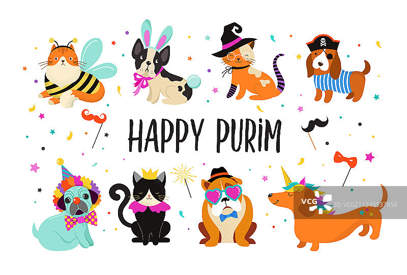 有趣的宠物：可爱的猫和狗图片素材