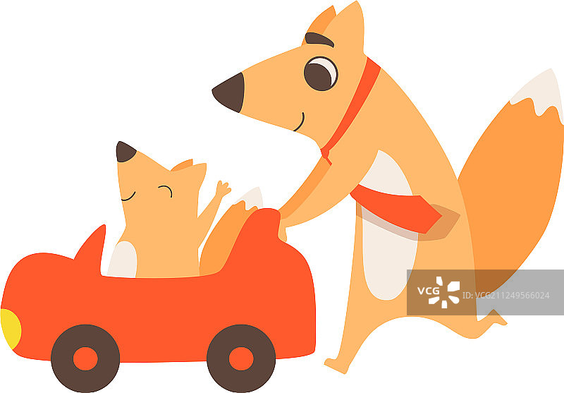有爱的狐狸爸爸和孩子一起推玩具车图片素材