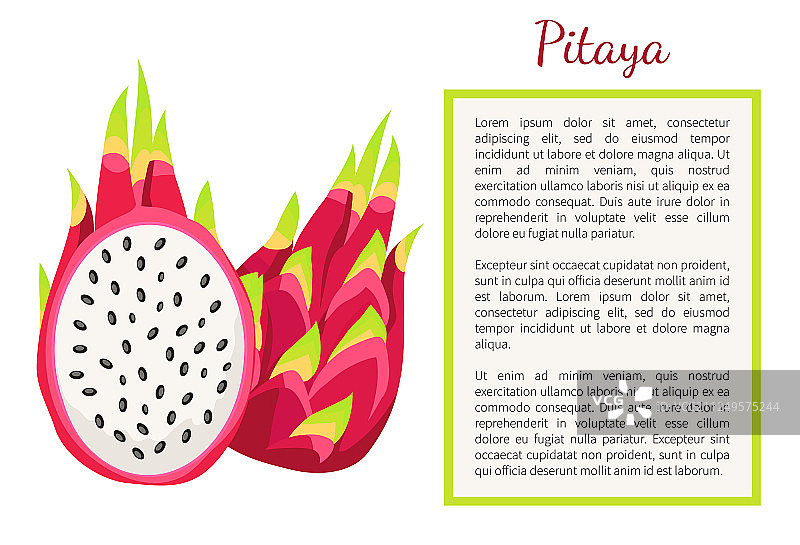 火龙果异国风情海报图片素材