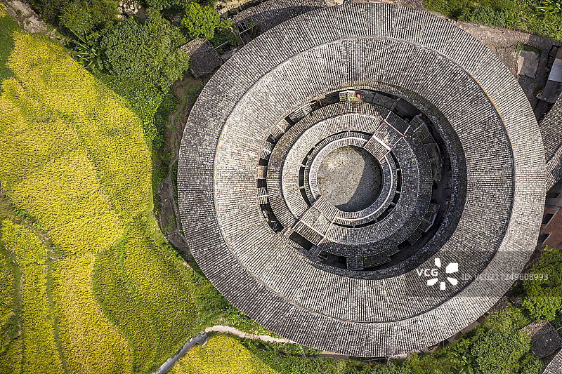 航拍福建土楼秋收季节金黄的稻谷图片素材