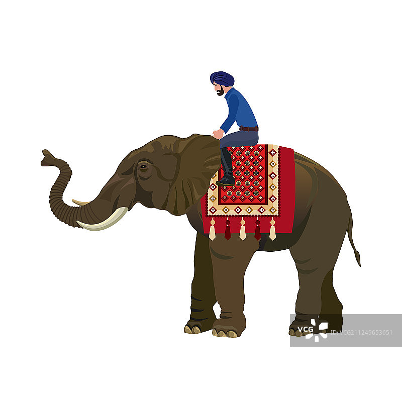 男子骑大象图片素材