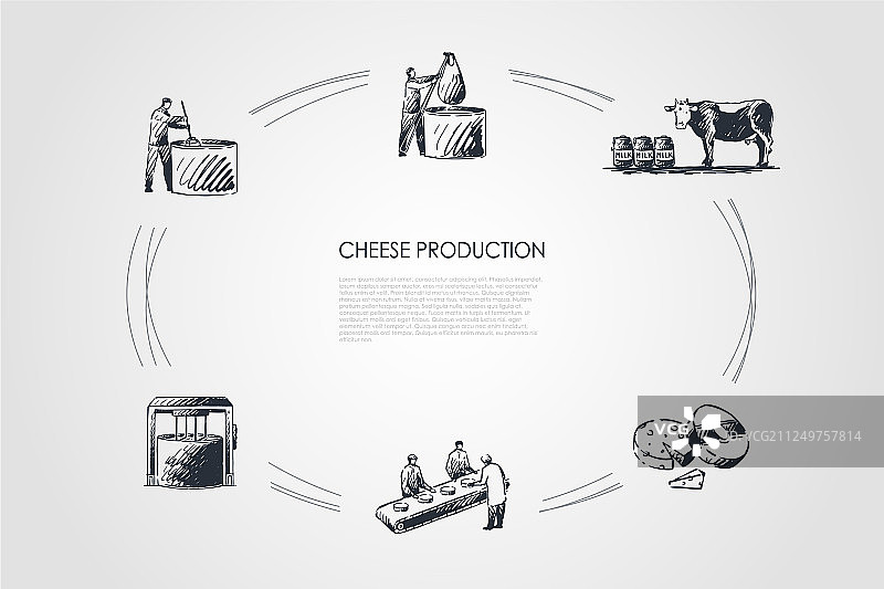 奶酪生产——从奶牛身上取奶煮沸图片素材