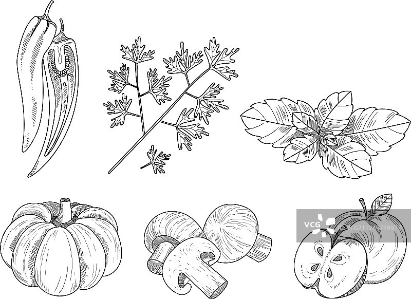 蔬菜水果香草集合图片素材