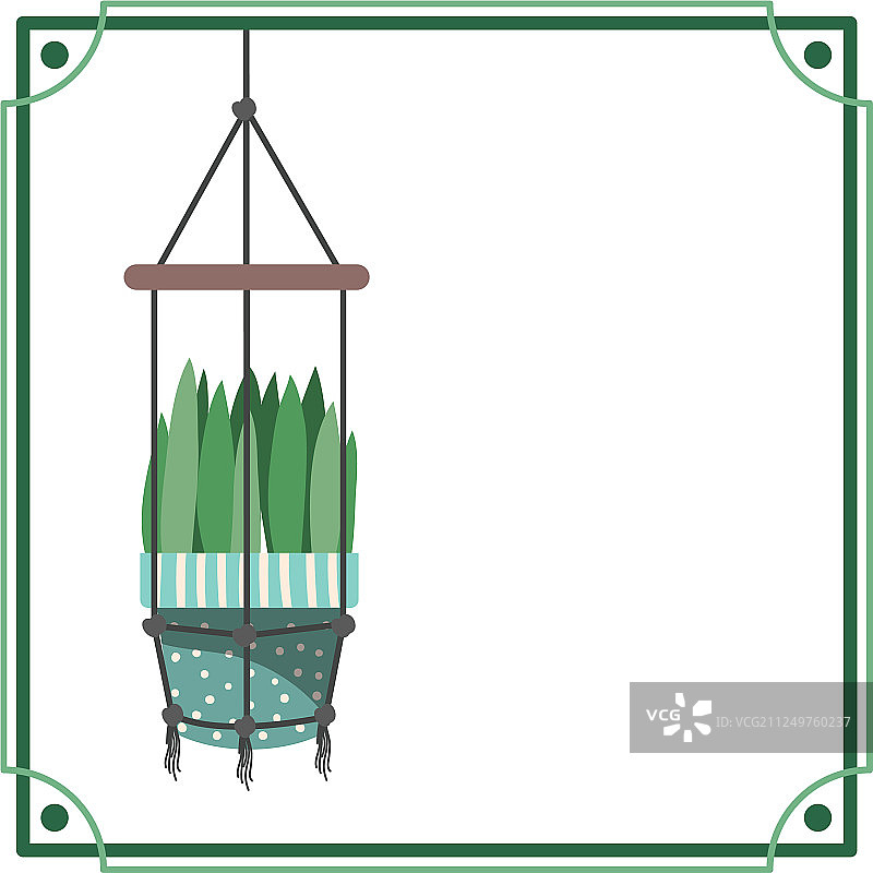 绿植编织挂毯边框图片素材