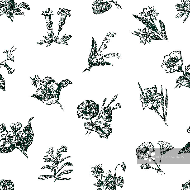 不同花卉的草图图案图片素材