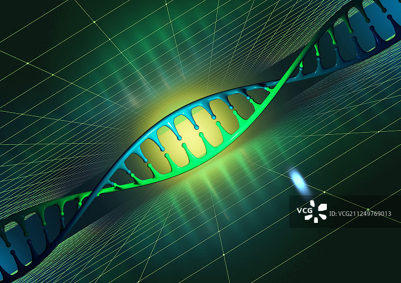 3DDNA双螺旋模型图片素材
