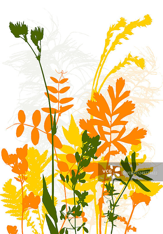 带有树叶和植物剪影的模板图片素材