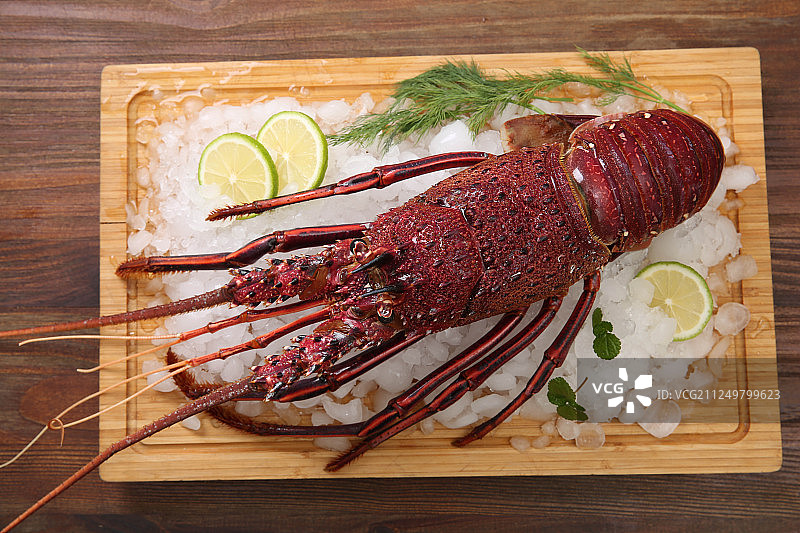 澳洲红龙虾美食图片定妆照图片素材