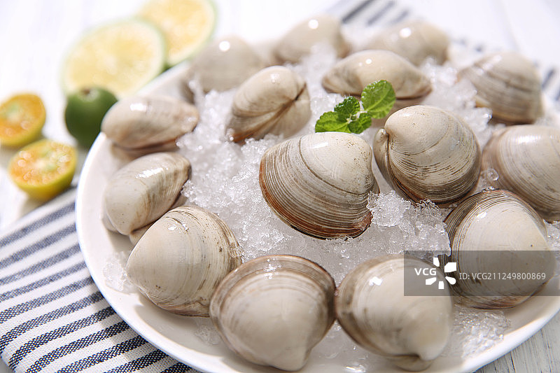 白蛤（白蚬子）美食图片定妆照图片素材