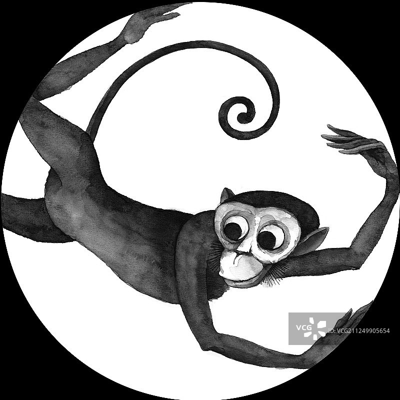 手绘圆形图可爱动物属相猴图片素材