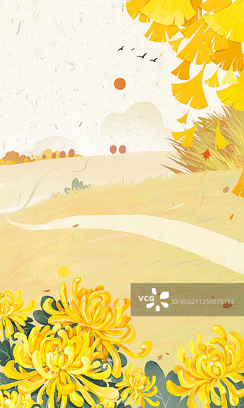 重阳节背景图片素材