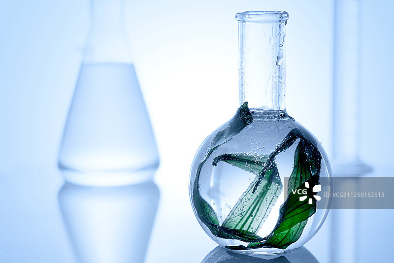 实验室发酵海藻图片素材