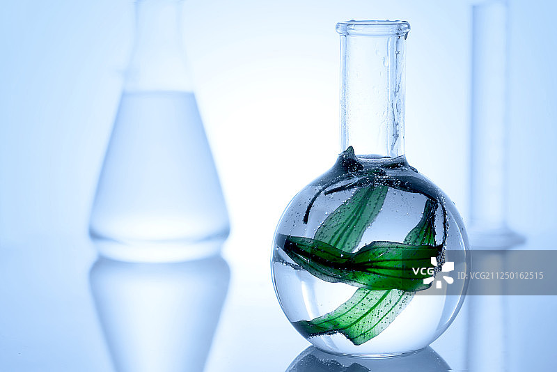 实验室发酵海藻图片素材