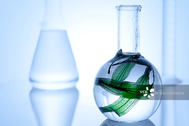 实验室发酵海藻图片素材