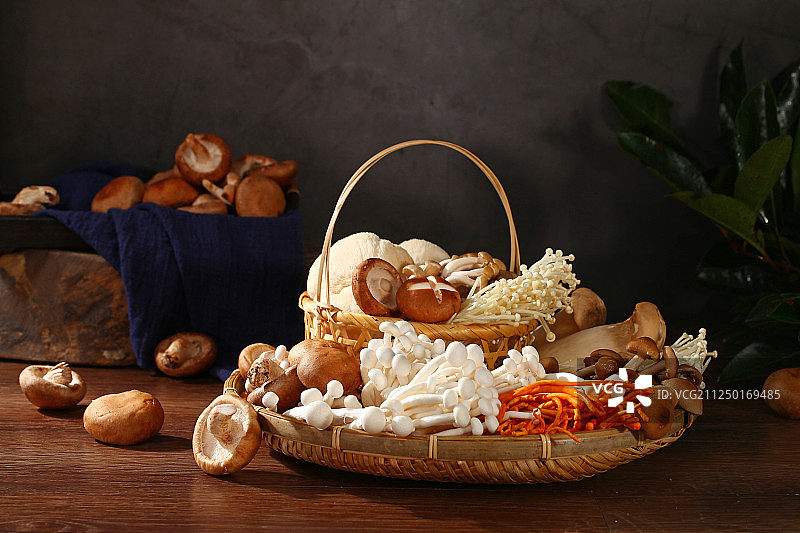 多种菌菇图片素材