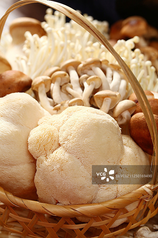 多种菌菇图片素材