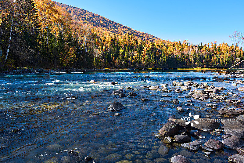 喀纳斯河风光图片素材