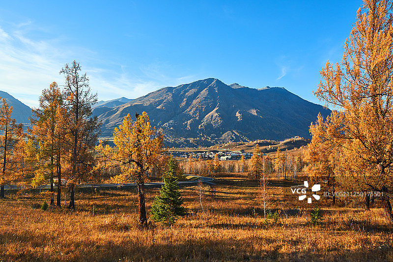 禾木草原图片素材