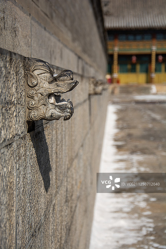 围墙上的石狮头图片素材