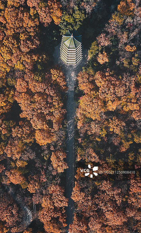 南京紫金山灵谷塔图片素材