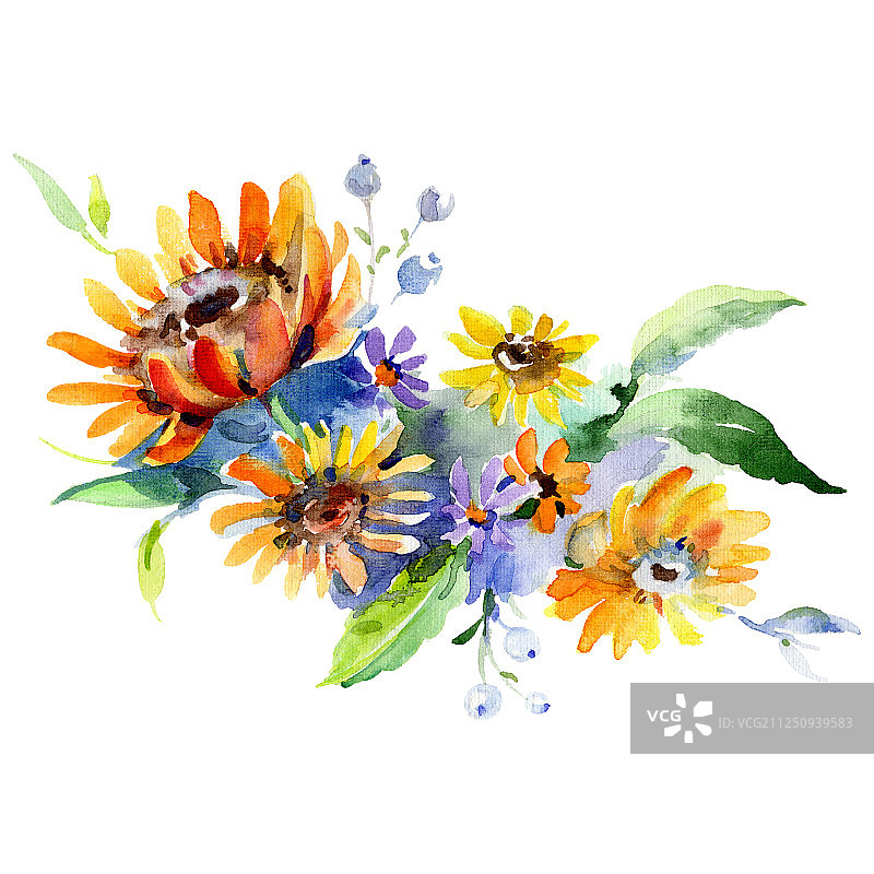 花卉植物花束。水彩背景集。独立花束插图元素。图片素材