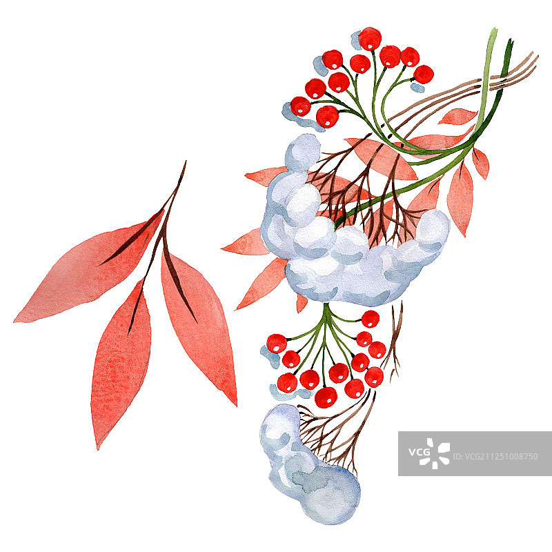 冬季装饰元素。水彩背景插图集。孤立的装饰插图元素图片素材