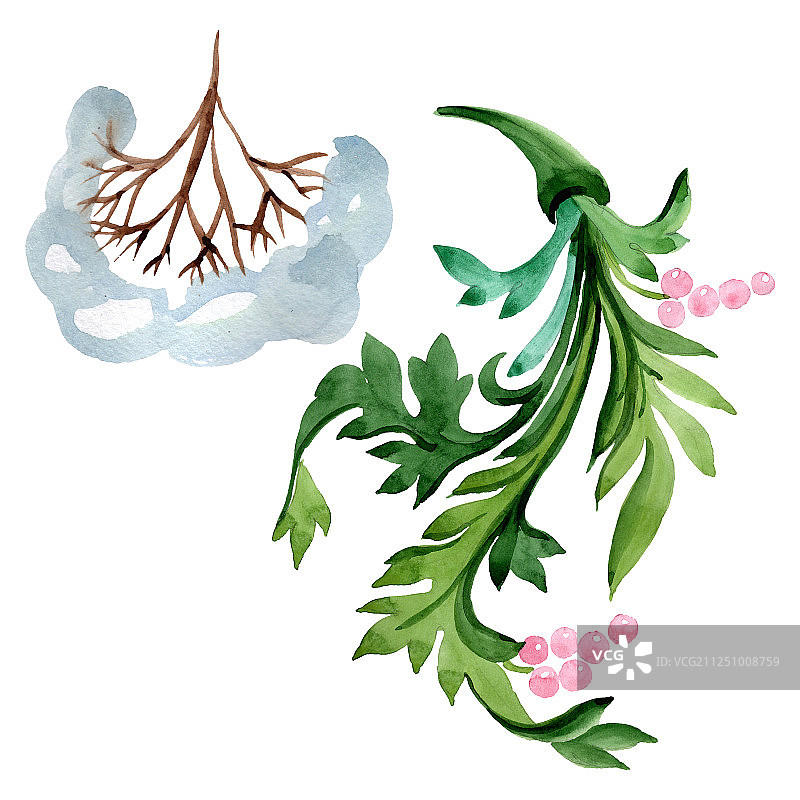 冬季装饰元素。水彩背景插图集。孤立的装饰插图元素图片素材