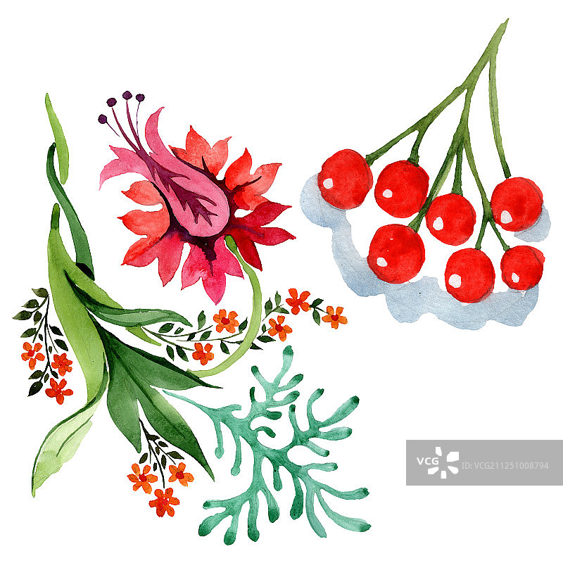 冬季装饰元素。水彩背景插图集。孤立的装饰插图元素图片素材