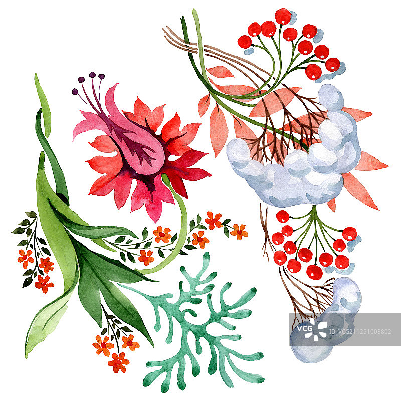 冬季装饰元素。水彩背景插图集。孤立的装饰插图元素图片素材