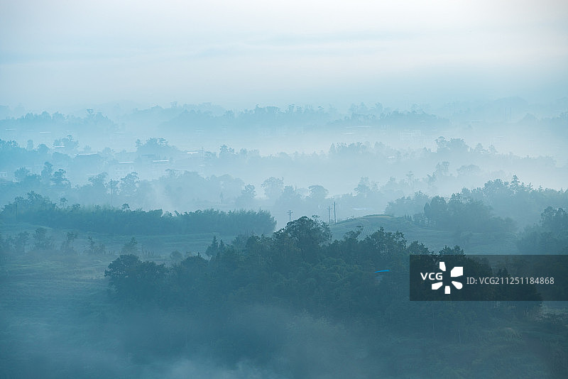 晨雾中森林图片素材