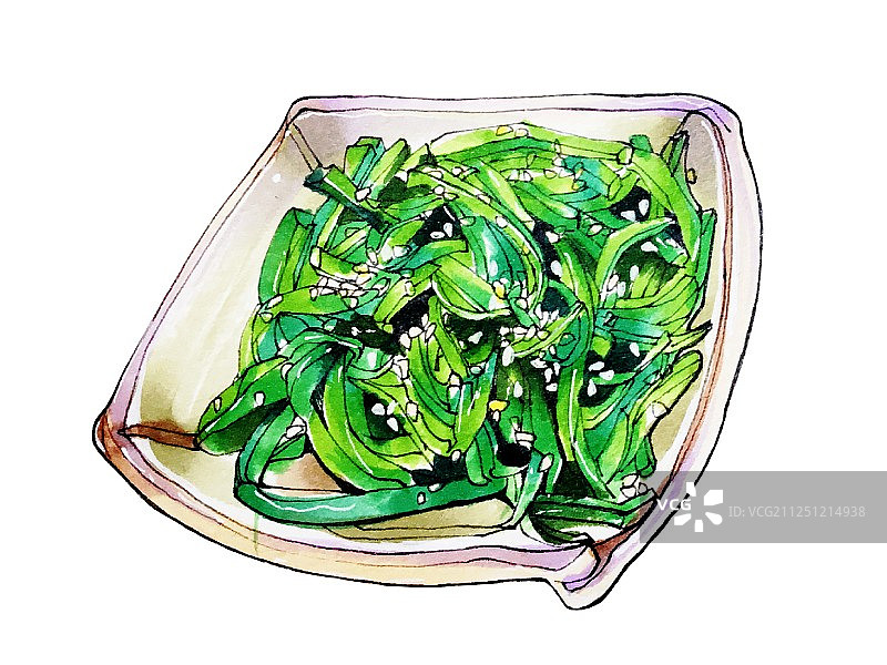 马克笔美食手绘插画  健康蔬菜绿色食品 凉拌海草图片素材