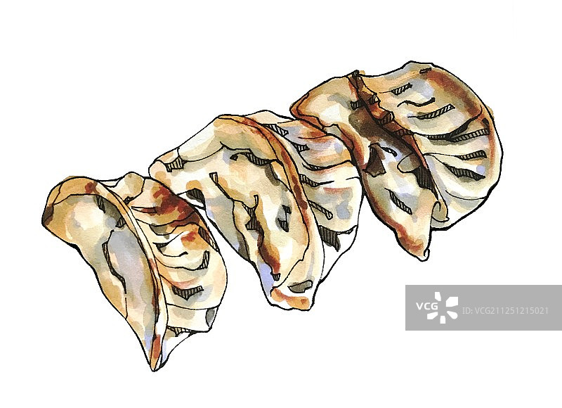 马克笔美食手绘插画 港式广式粤式茶餐厅 韭菜饺图片素材