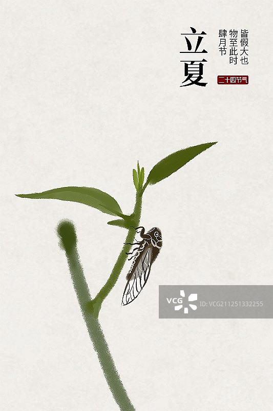 立夏二十四节气中国风插画图片素材