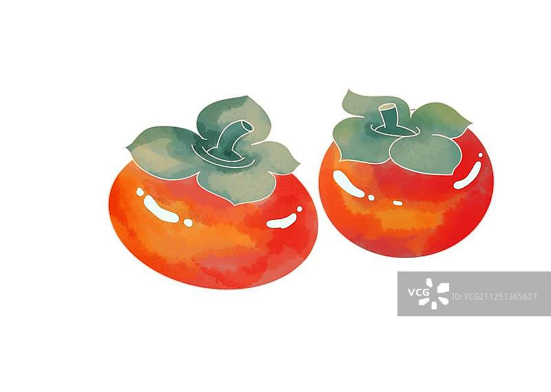 重阳节秋天红柿子红色免扣插画元素图片素材