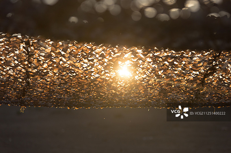 朦胧中的日落场景图片素材