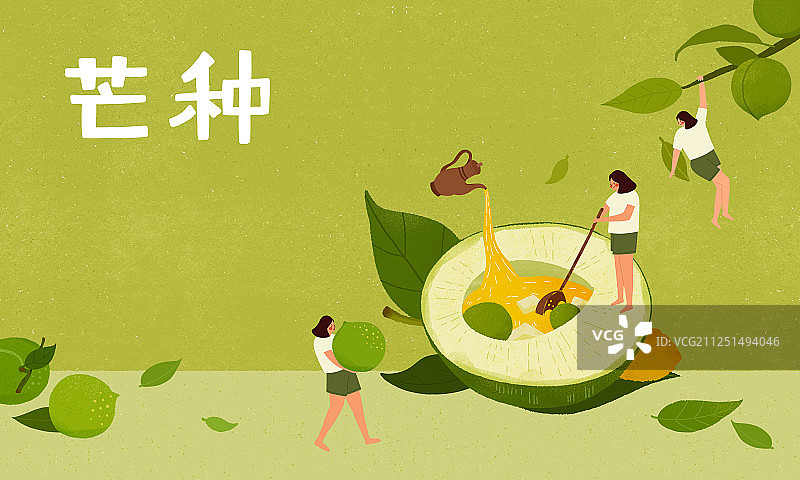 二十四节气夏天图片素材