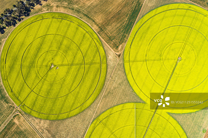 田园油菜花3D时钟航拍图片素材
