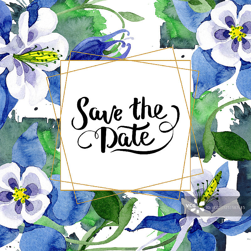 蓝色耧斗菜植物花卉。水彩背景图集。边框装饰方块。图片素材