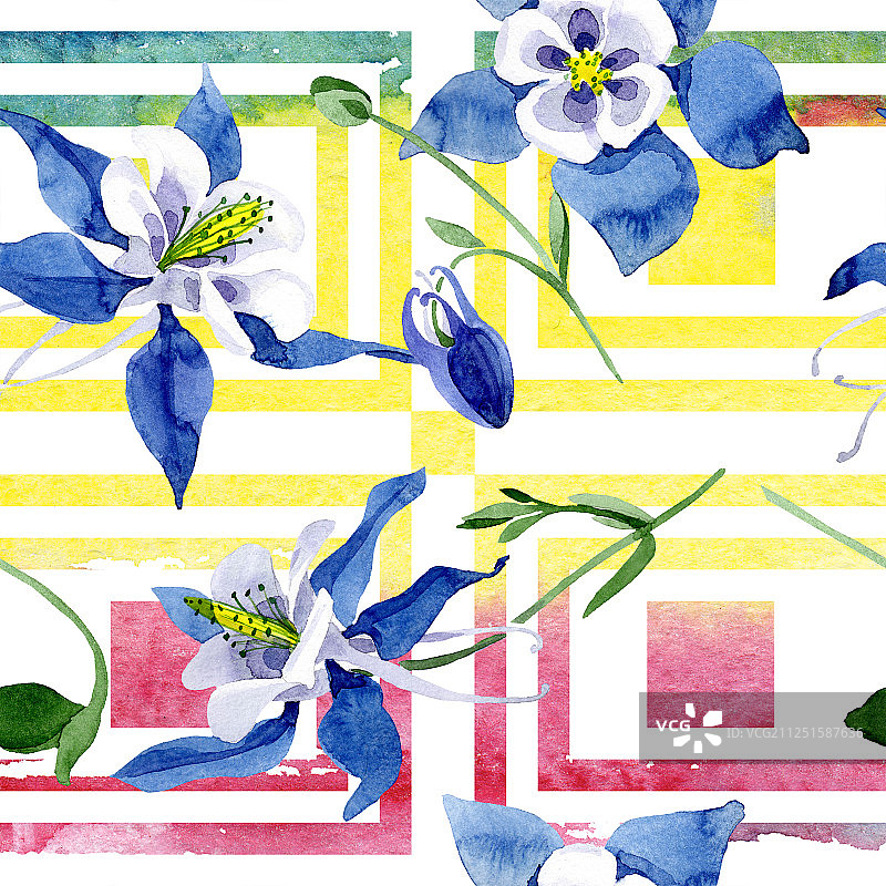 蓝色耧斗菜花卉植物水彩背景图案图片素材