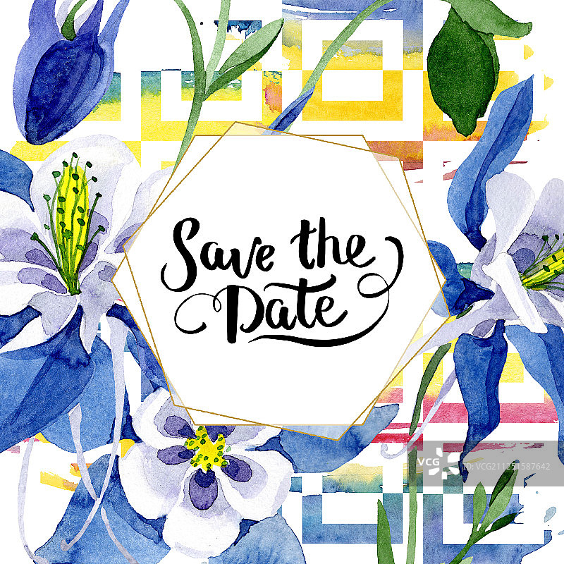 蓝色耧斗菜植物花卉。水彩背景图集。边框装饰方块。图片素材