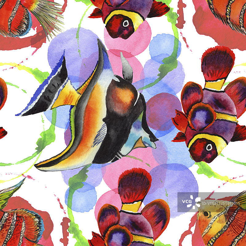 水彩水下热带鱼无缝背景图案图片素材