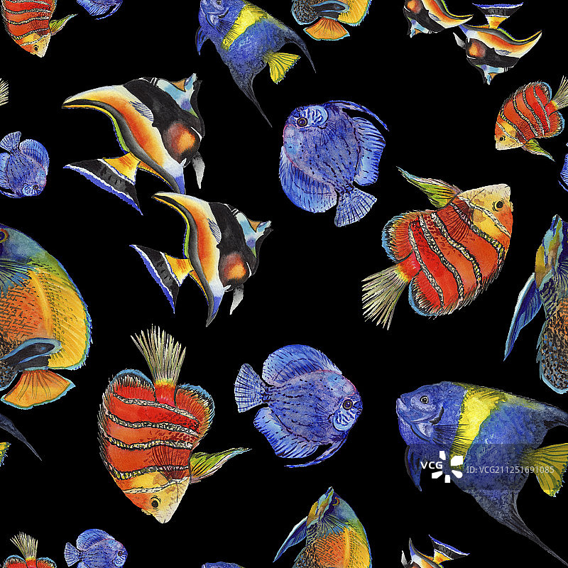 水彩水下热带鱼无缝背景图案图片素材